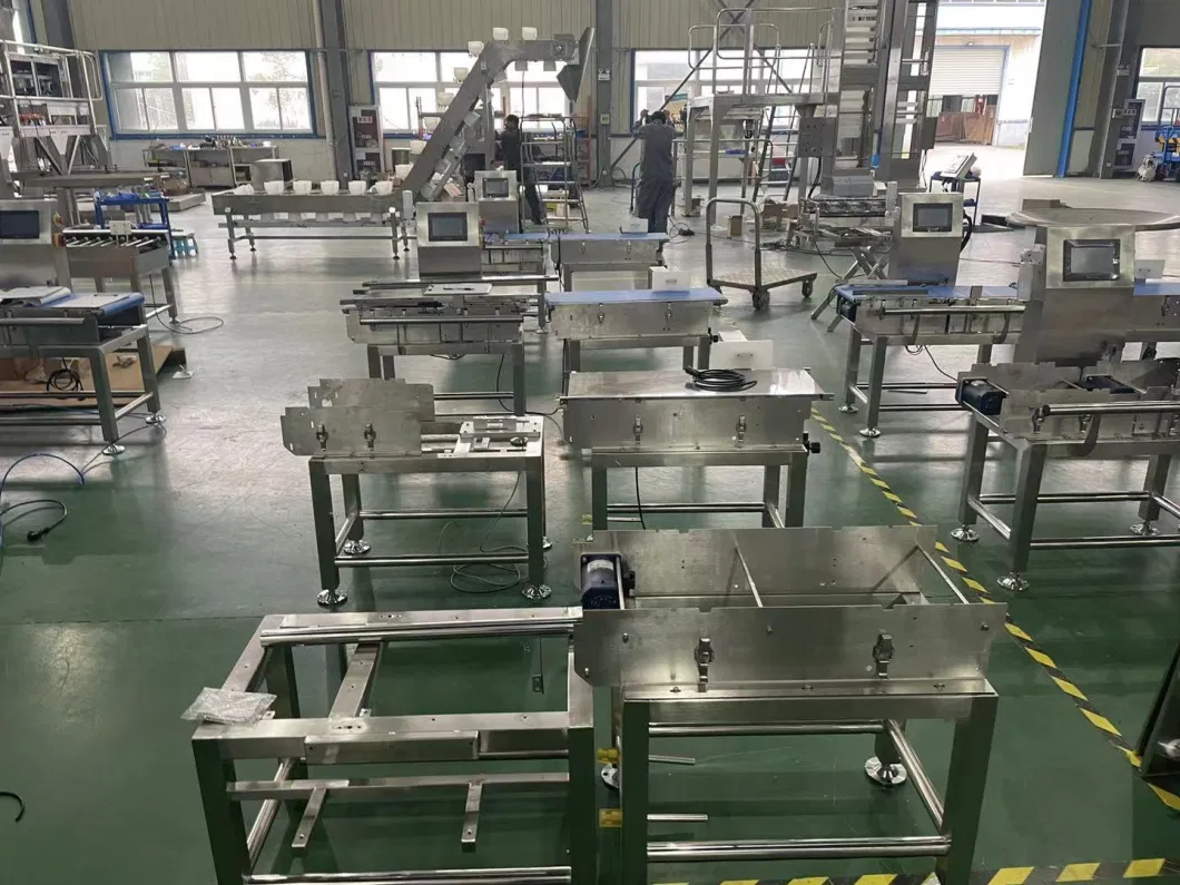 Dynamic Weight Checker Checkweigher with Conveyor Belt for Food Line
